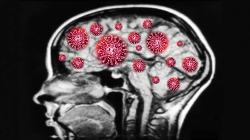 耶鲁研究：新冠病毒可劫持脑细胞并自我复制.jpg